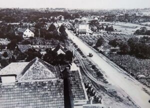Santa cecilia
