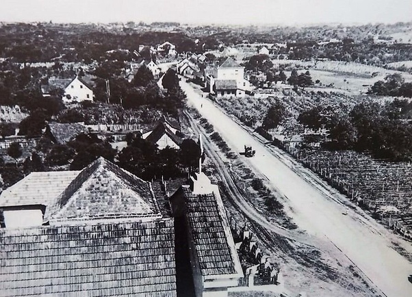 Santa cecilia