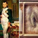 napoleão e negocio