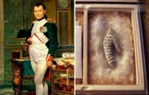 napoleão e negocio